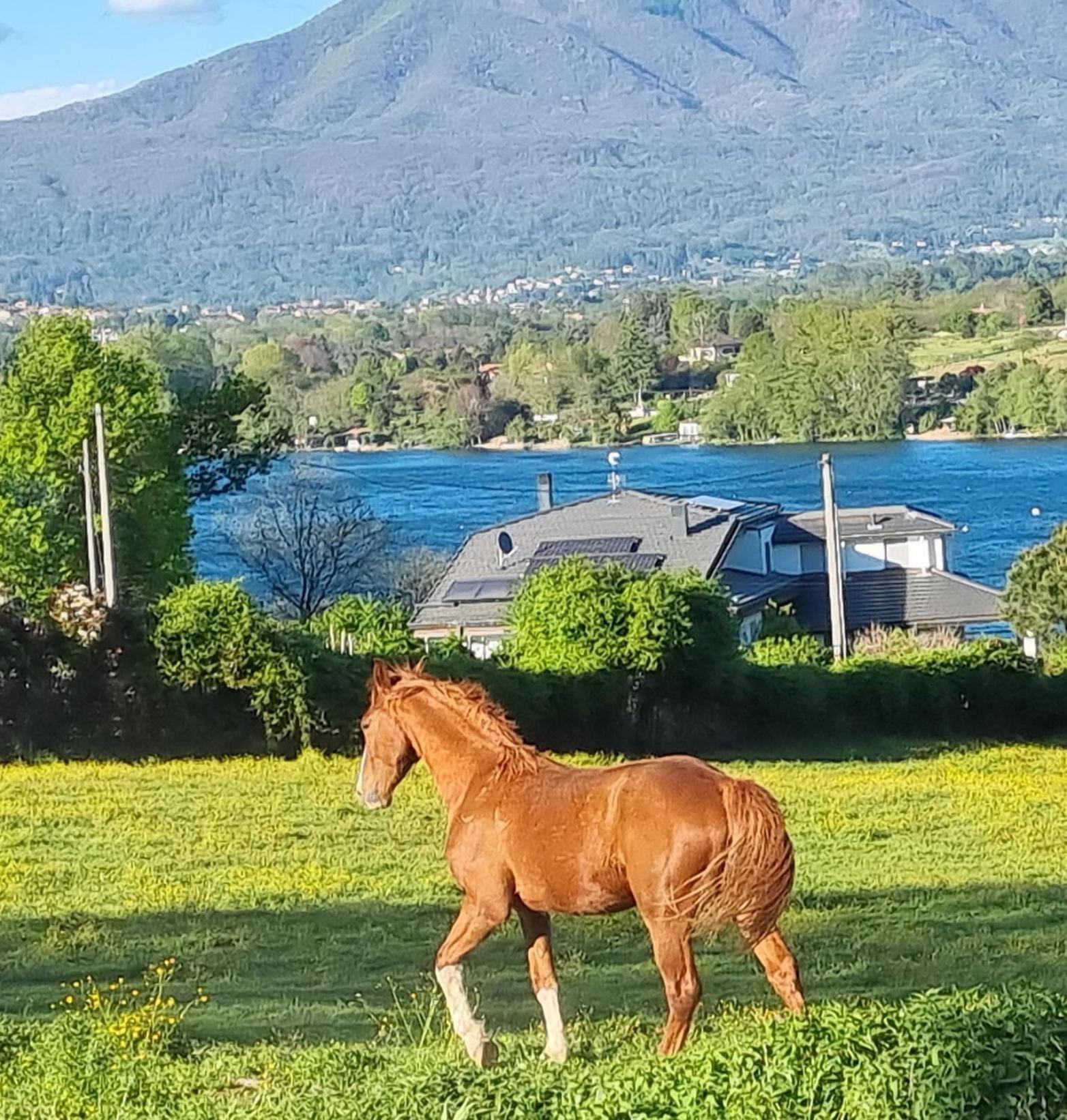 Agriturismo Pastorelli Osmate Екстер'єр фото